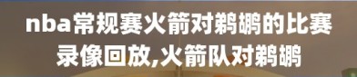nba常规赛火箭对鹈鹕的比赛录像回放,火箭队对鹈鹕