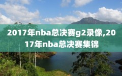 2017年nba总决赛g2录像,2017年nba总决赛集锦