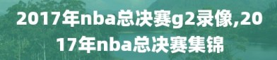 2017年nba总决赛g2录像,2017年nba总决赛集锦