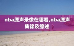 nba原声录像在哪看,nba原声集锦及综述