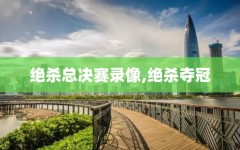 绝杀总决赛录像,绝杀夺冠