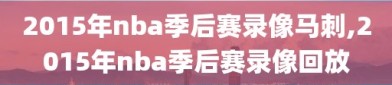 2015年nba季后赛录像马刺,2015年nba季后赛录像回放