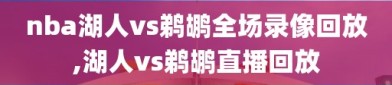 nba湖人vs鹈鹕全场录像回放,湖人vs鹈鹕直播回放