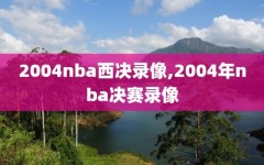 2004nba西决录像,2004年nba决赛录像