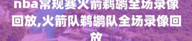nba常规赛火箭鹈鹕全场录像回放,火箭队鹈鹕队全场录像回放