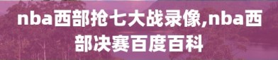 nba西部抢七大战录像,nba西部决赛百度百科