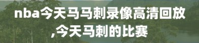 nba今天马马刺录像高清回放,今天马刺的比赛